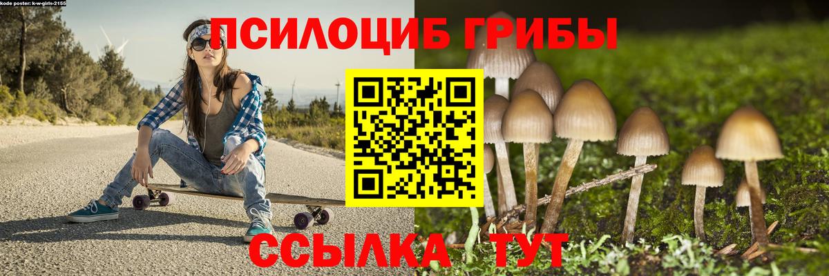 закладка  Вход с VPN  Нурлат  Галлюциногенные грибы MAGIC MUSHROOMS 