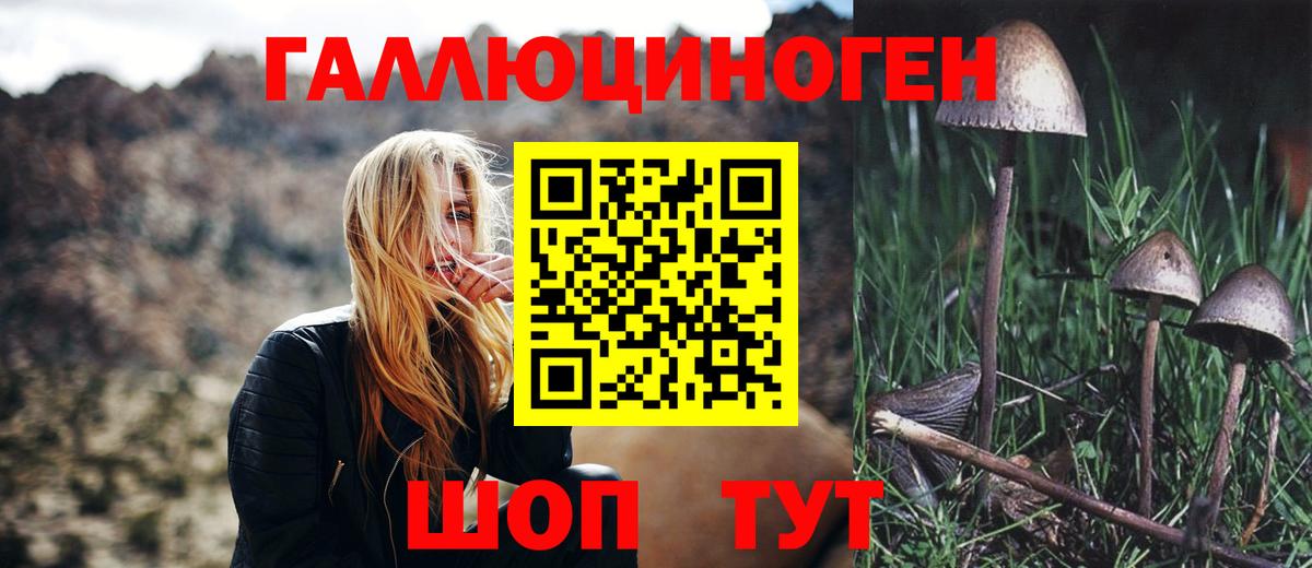 Псилоцибиновые грибы мухоморы Нурлат